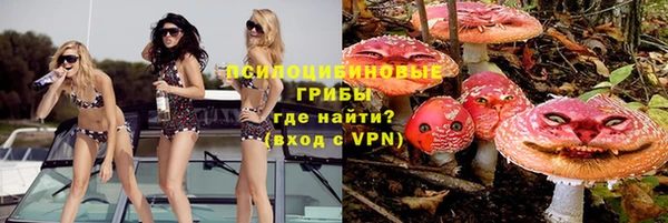 ешки Зеленокумск