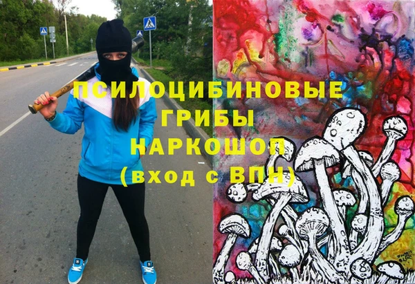мдпв Зеленодольск
