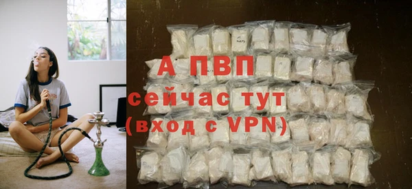 ешки Зеленокумск