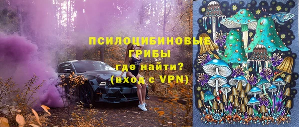 мдпв Зеленодольск