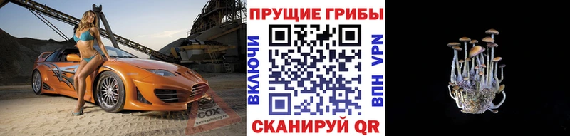Купить  Темрюк  Псилоцибиновые грибы мухоморы 